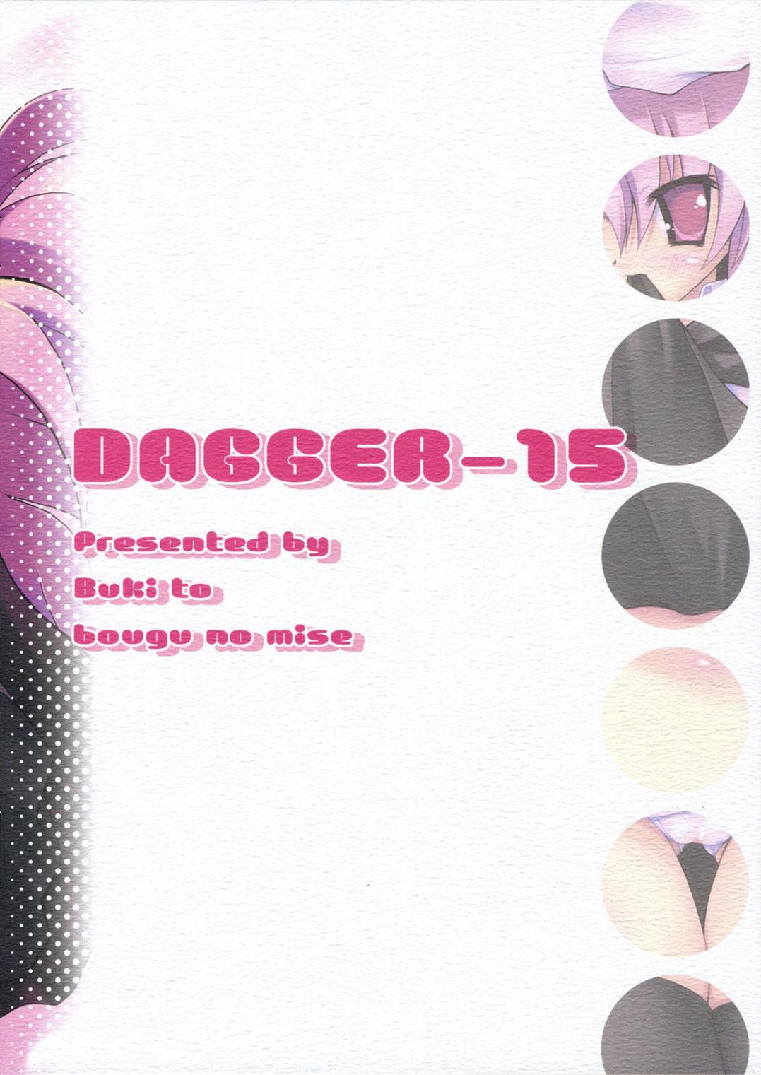 DAGGER-15 14