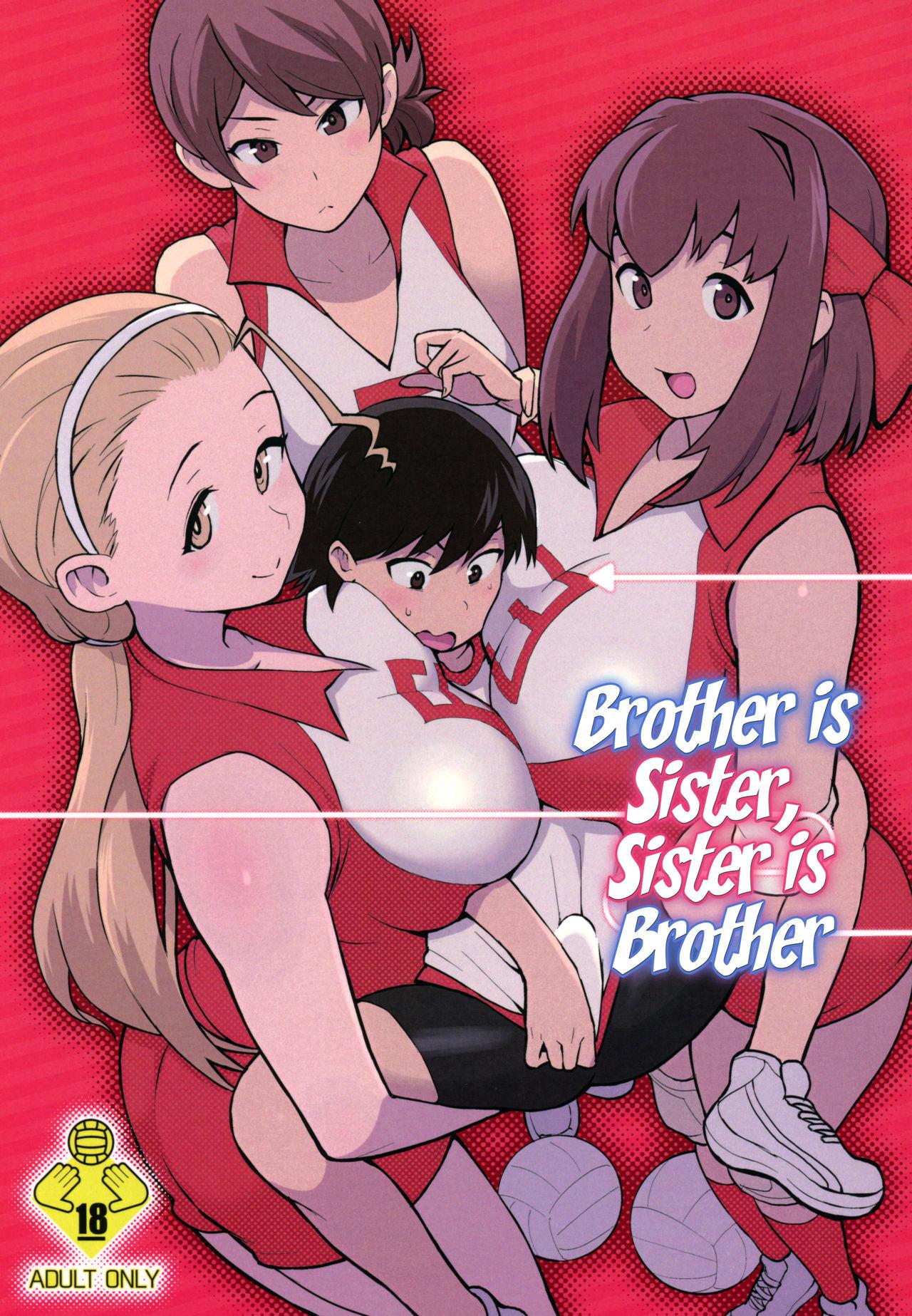 Ani ga Watashi de Watashi ga Ani de | Brother is Sister, Sister is Brother 0