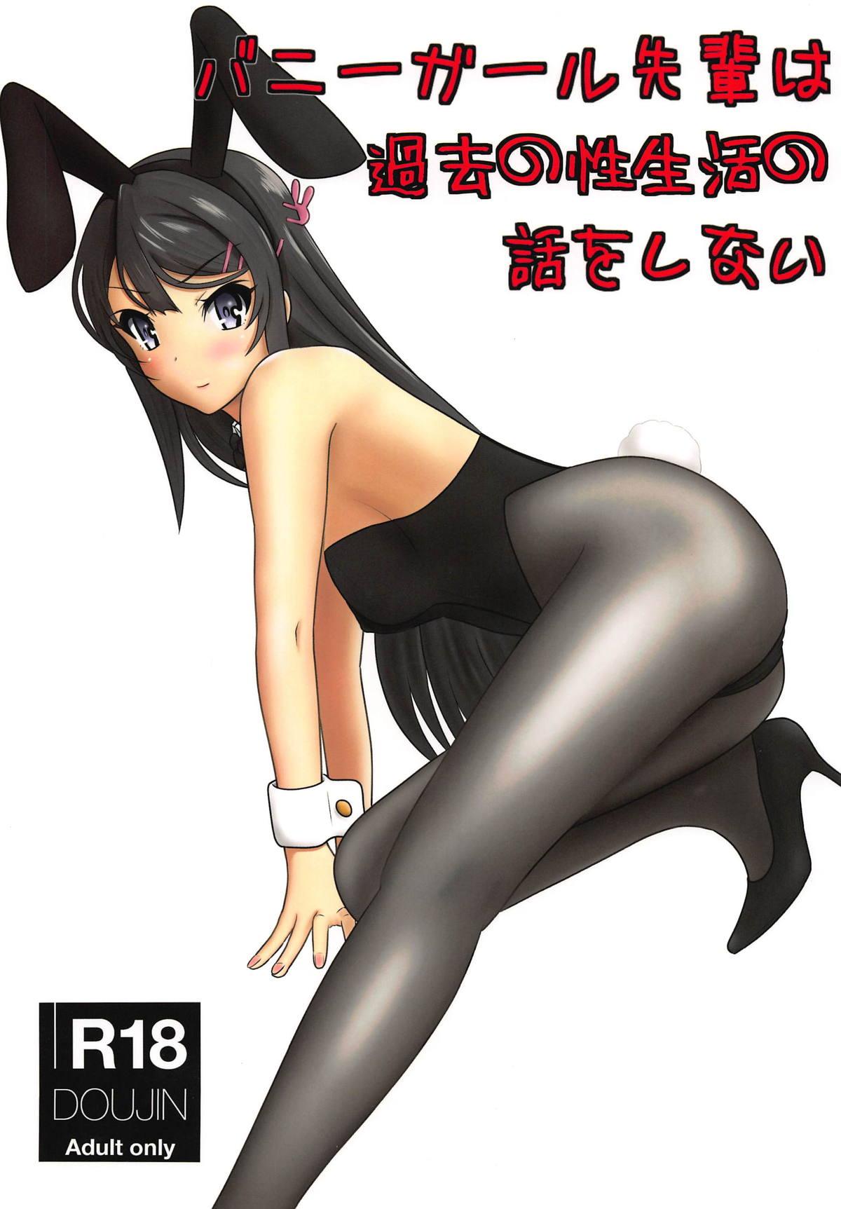 Bunny Girl Senpai wa Kako no Seiseikatsu no Hanashi o Shinai 0