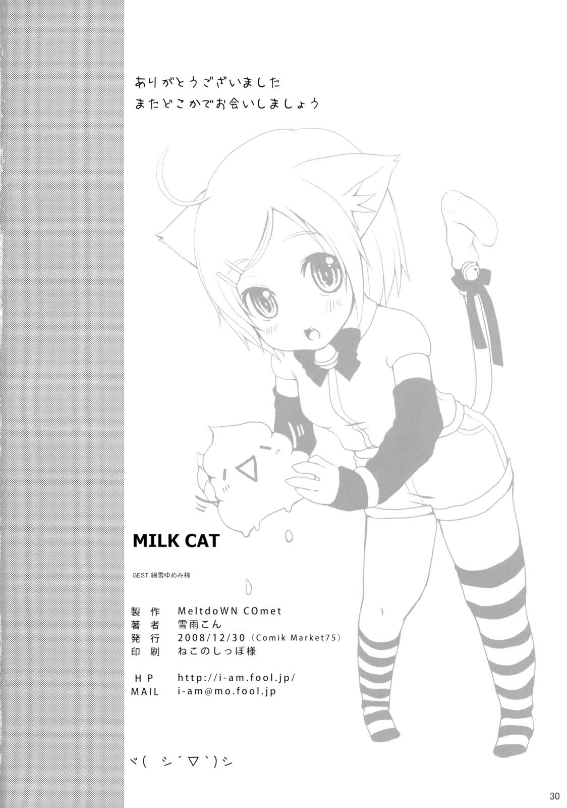 Milk Cat 29