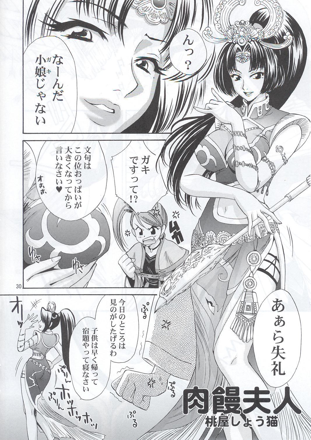 In Sangoku Musou 28