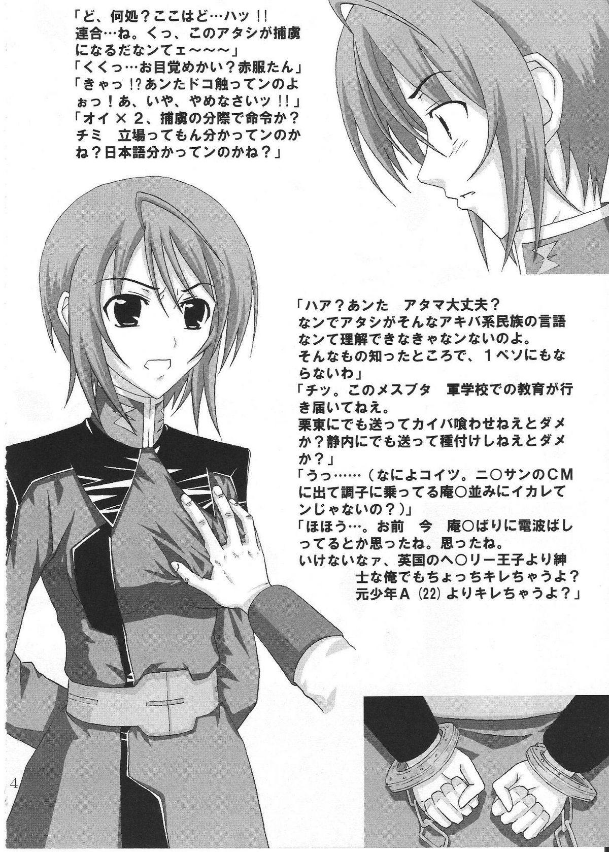 Spy Cam Coordinator - Gundam seed destiny Anal - Page 3