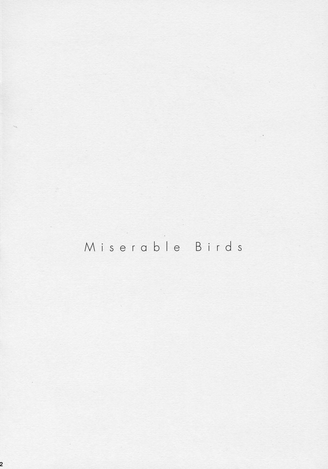 PRISONER 8 Miserable Birds 2