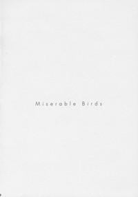 Animation PRISONER 8 Miserable Birds Gundam Seed Destiny AllBoner 3