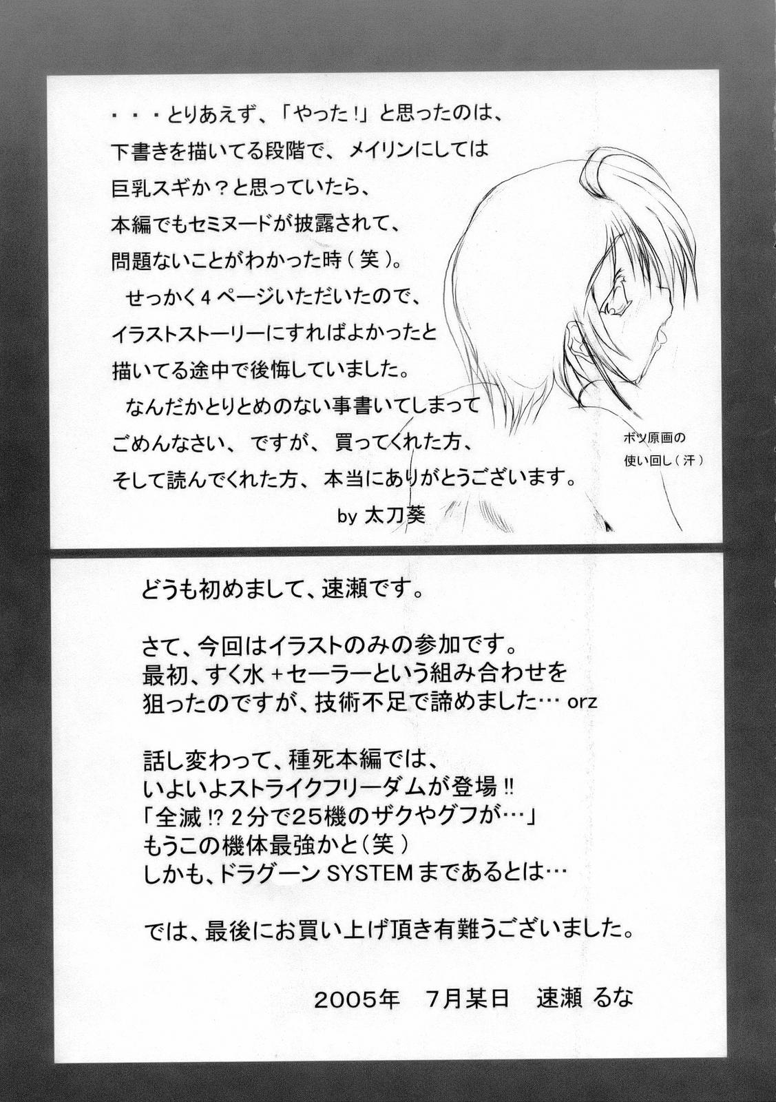 Cut GIRLS CAPRICCIO 9 - Gundam seed destiny Riding - Page 30