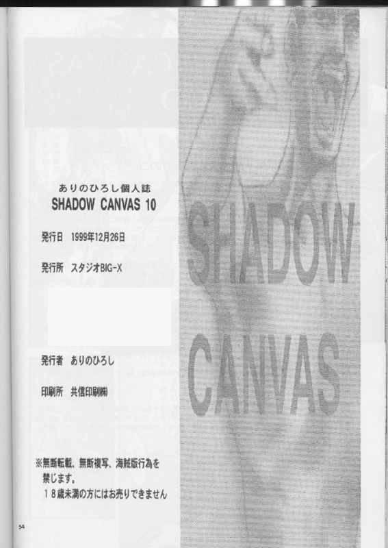 SHADOW CANVAS 10 52