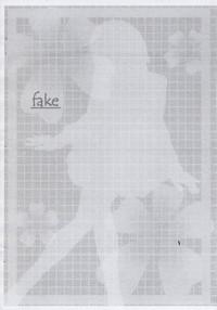 fake 3