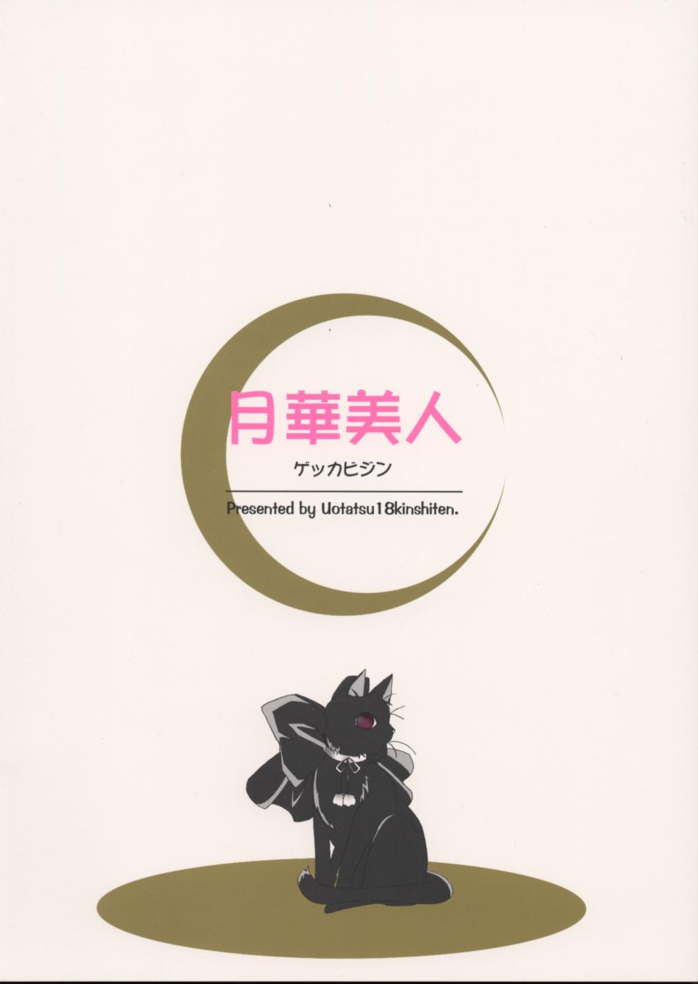 Gayemo Gekka Bijin - Tsukihime Female - Page 26