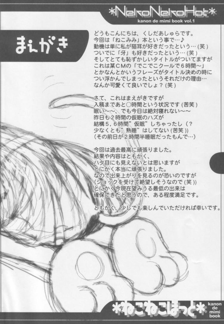 Furry Neko Neko Hot - Kanon Analfucking - Page 3