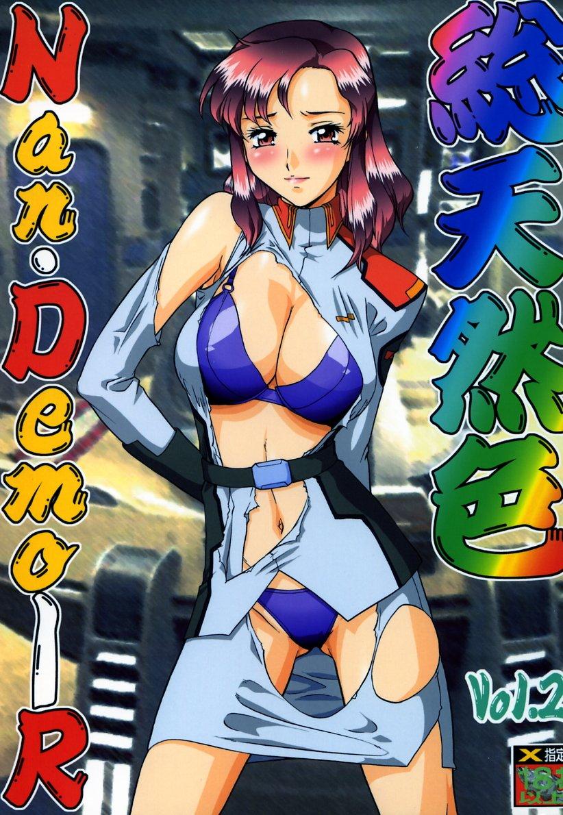 Soutennenshoku Nan Demo-R Vol. 2 0