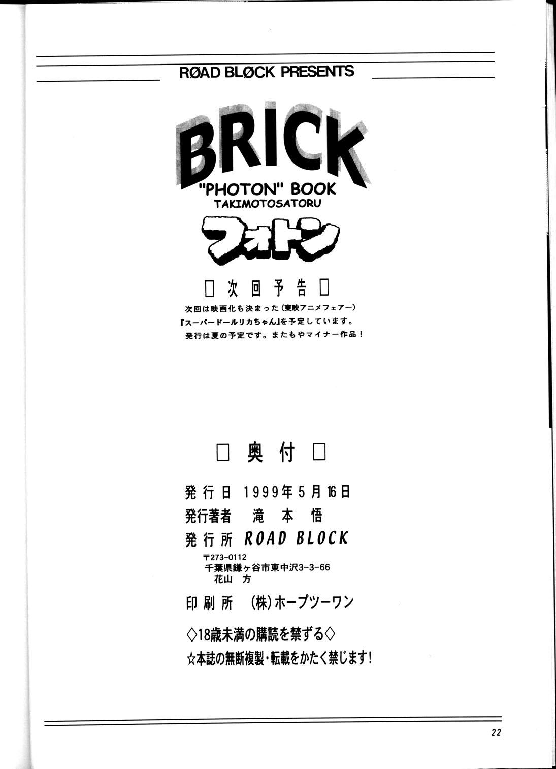 Brick 20