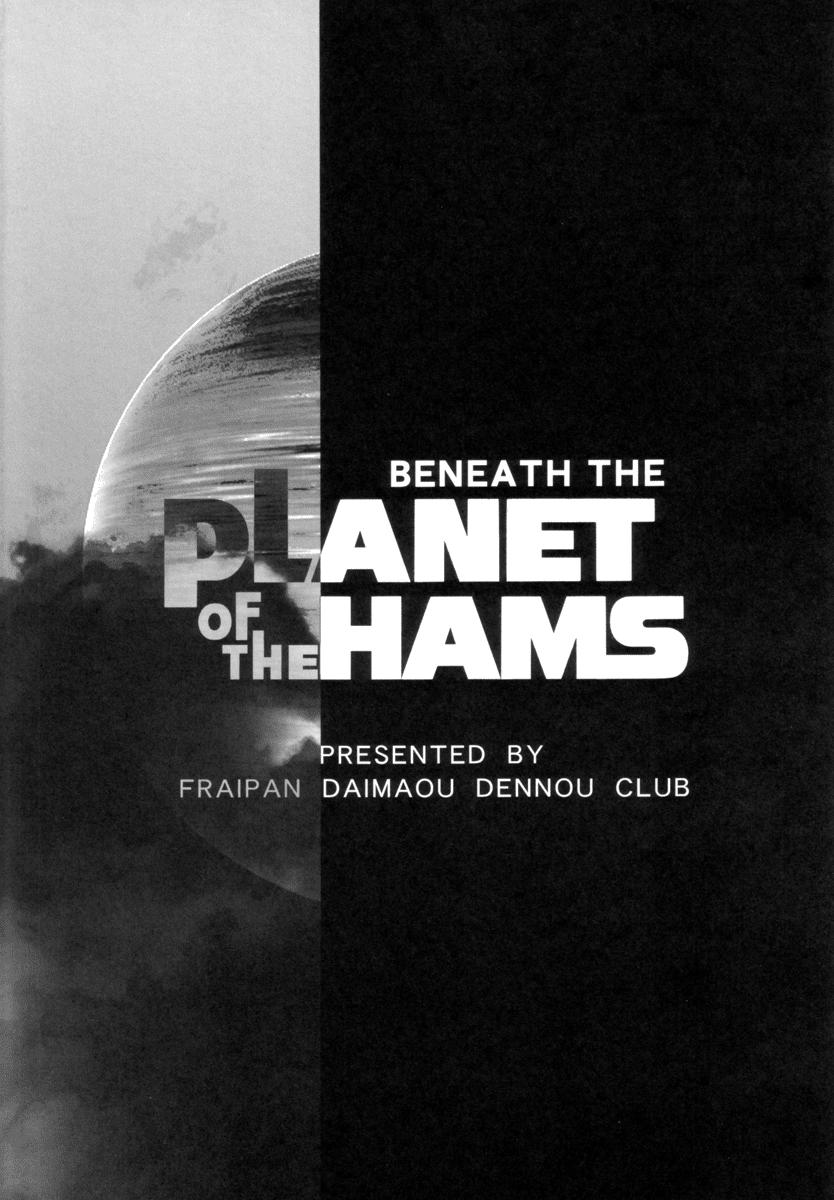 BENEATH THE PLANET OF THE HAMS 29