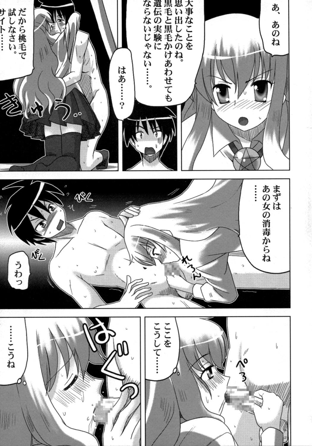 Swallow Zero no Taneuma 2 - Zero no tsukaima Assfucked - Page 8