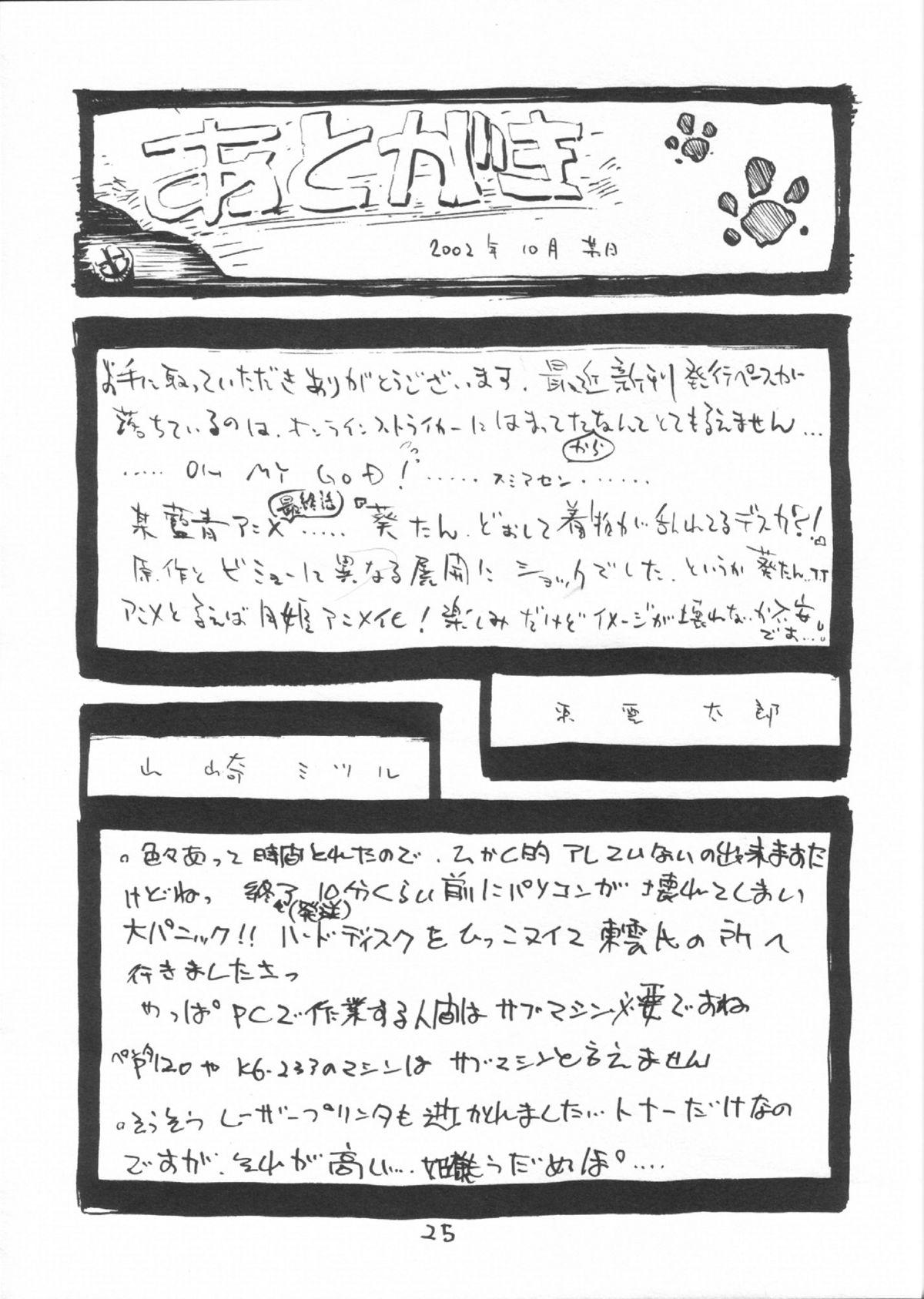 Flagra Gettou - Tsukihime Masturbates - Page 24
