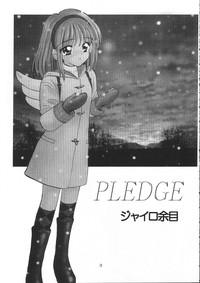 Pledge 2
