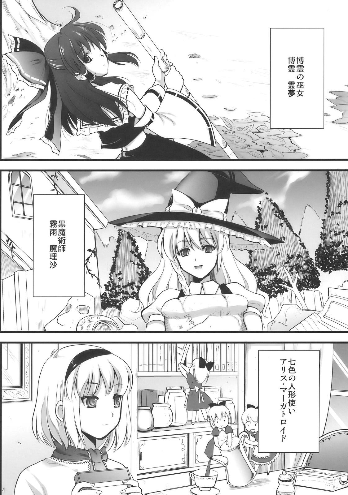 Fucking Inmitsuyakata Keikaku - Touhou project Playing - Page 4