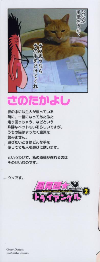 Cute Kazamidori Triangle Vol.2 Online - Page 3