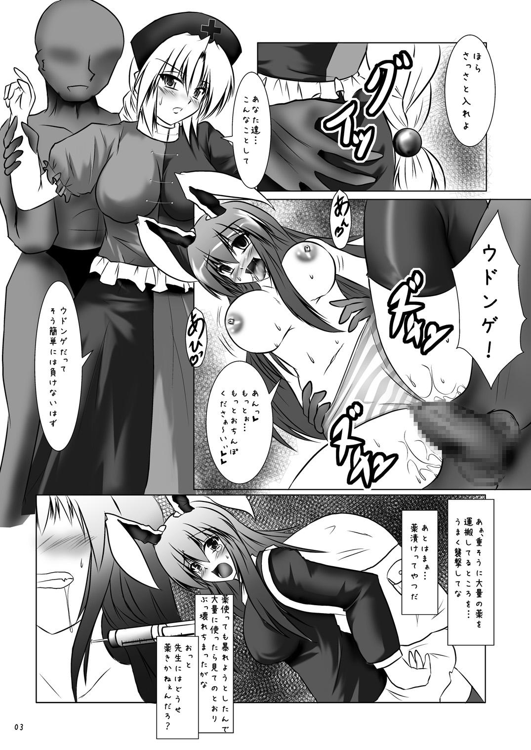 Doggystyle Autumn Rice Field - Touhou project Extreme - Page 4