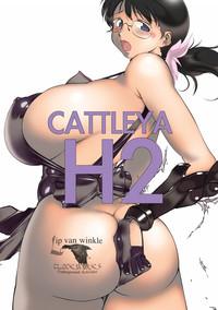 CATTLEYA H2 3