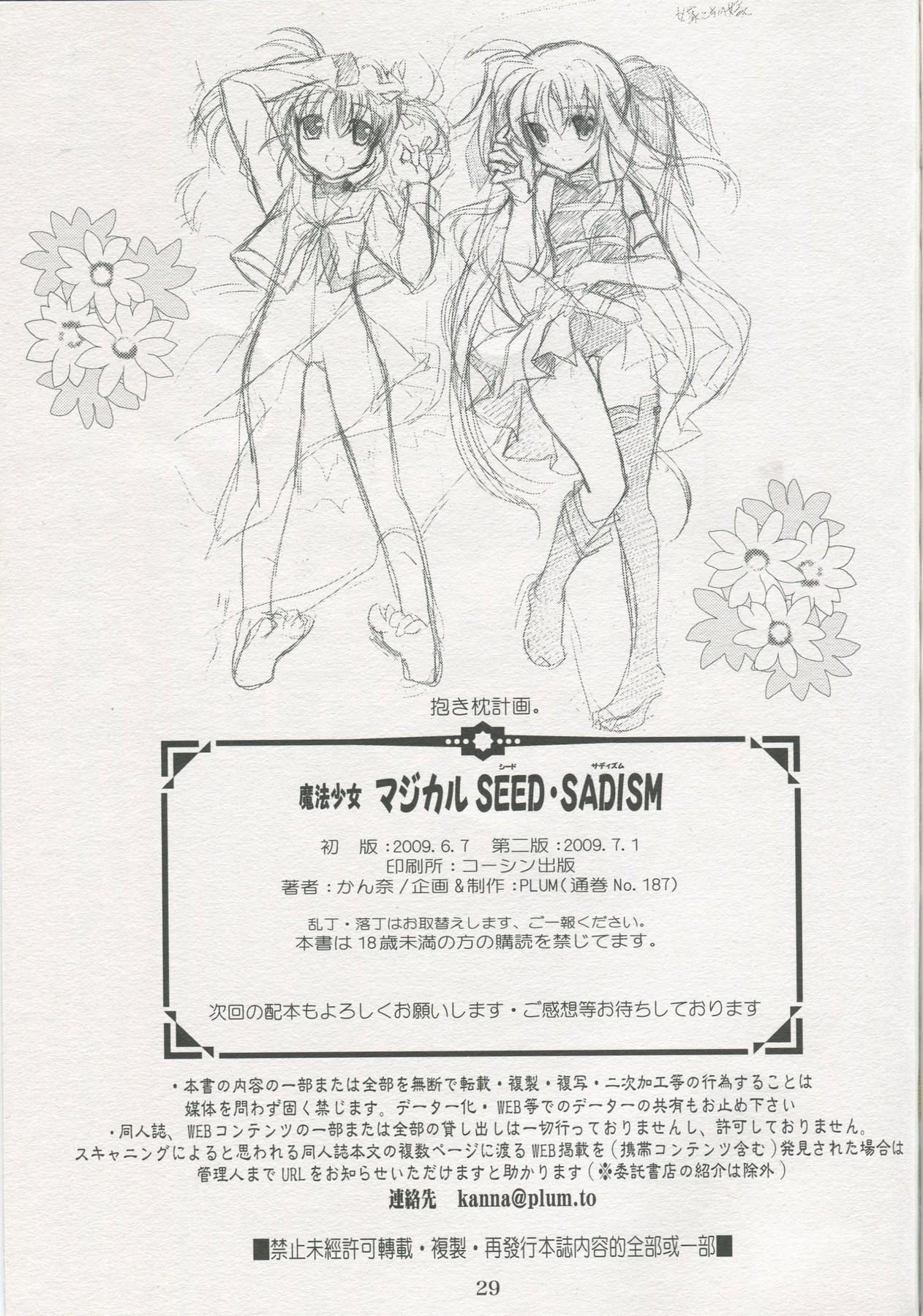 Shaved Mahou Shoujo Magical SEED SADISM - Mahou shoujo lyrical nanoha Petite Porn - Page 28