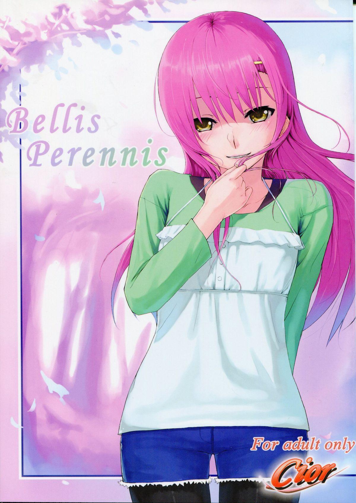 Bellis Perennis (サンクリ41) [Cior (ken-1)] (ハヤテのごとく!) 0