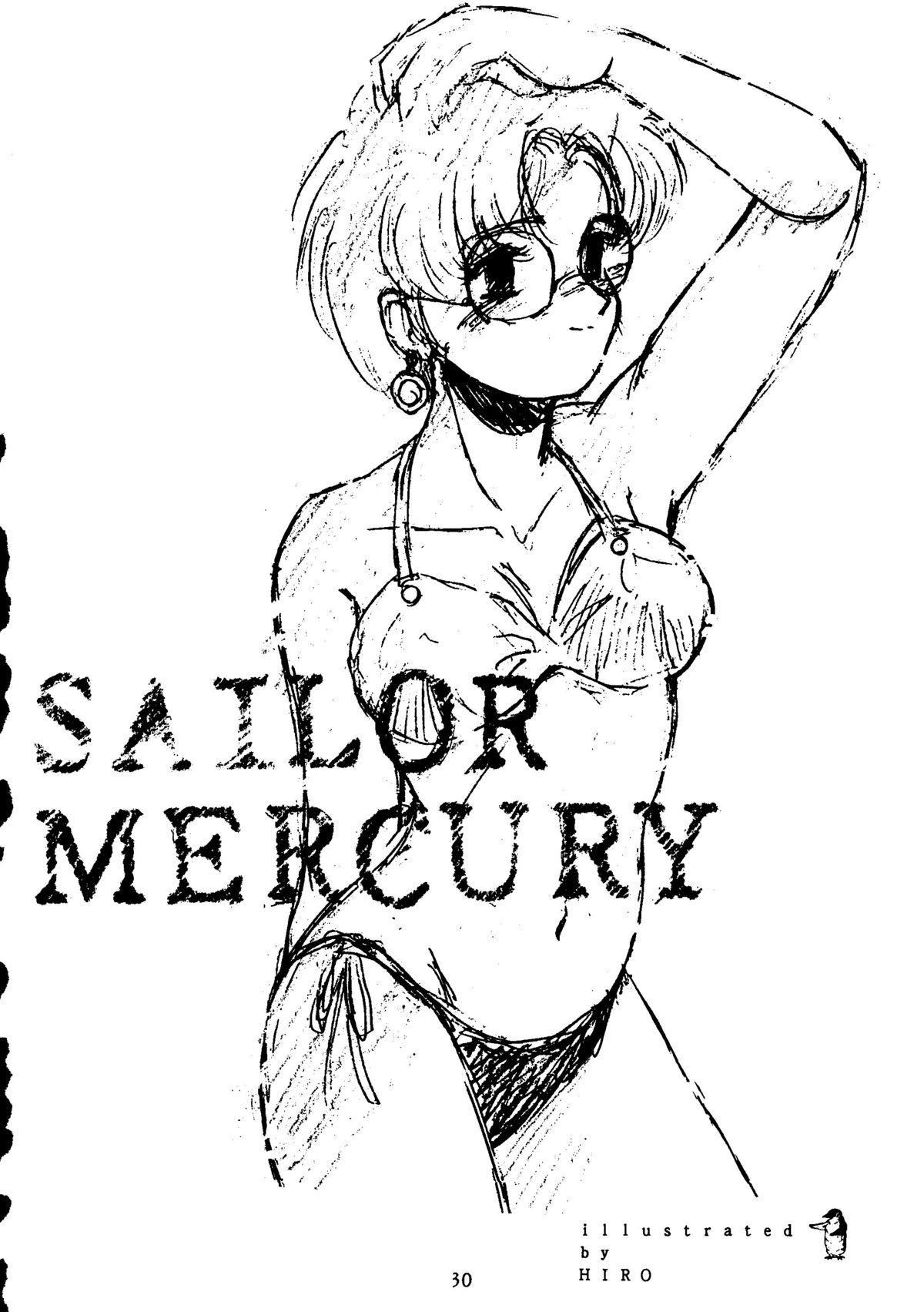 Suisei Mercury 28