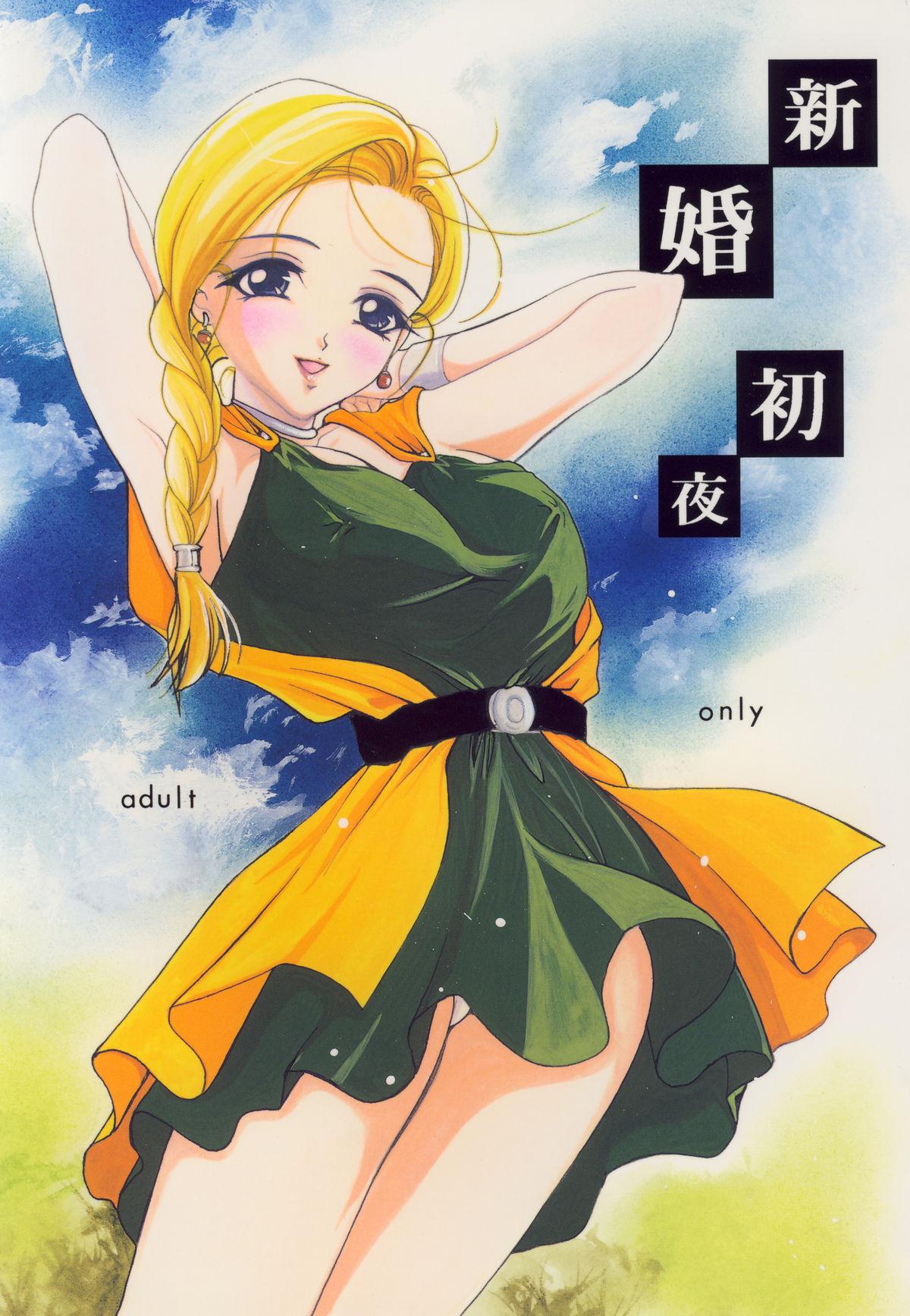 Girl Shinkon Shoya - Dragon quest v Hunk - Picture 1