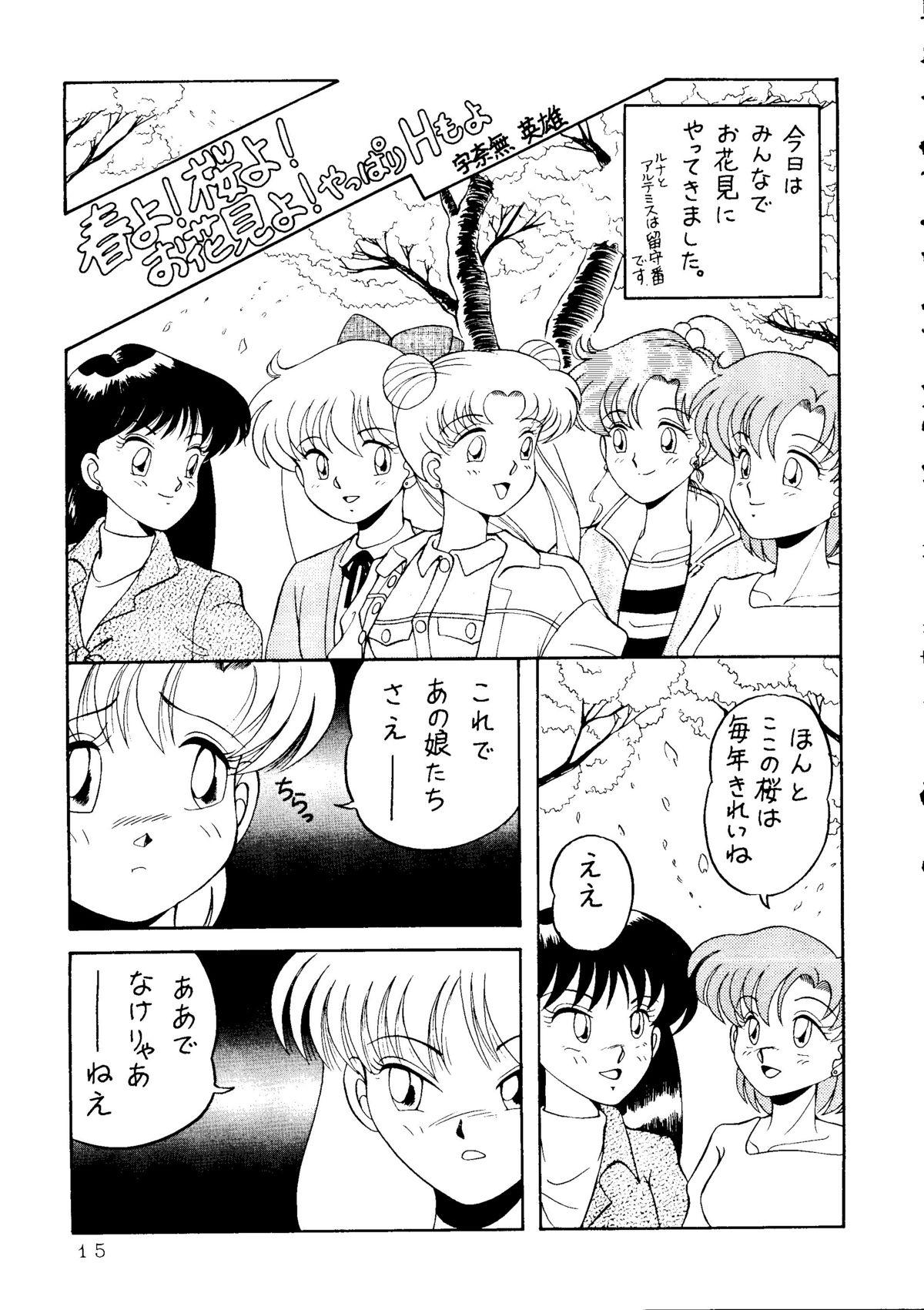 Wet Cunt MAKE-UP R - Sailor moon Hunks - Page 12
