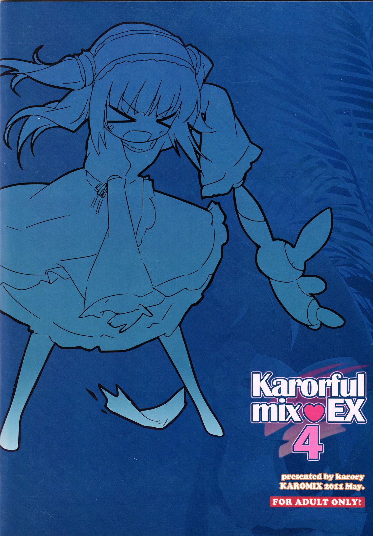 Karorful mix EX4 17