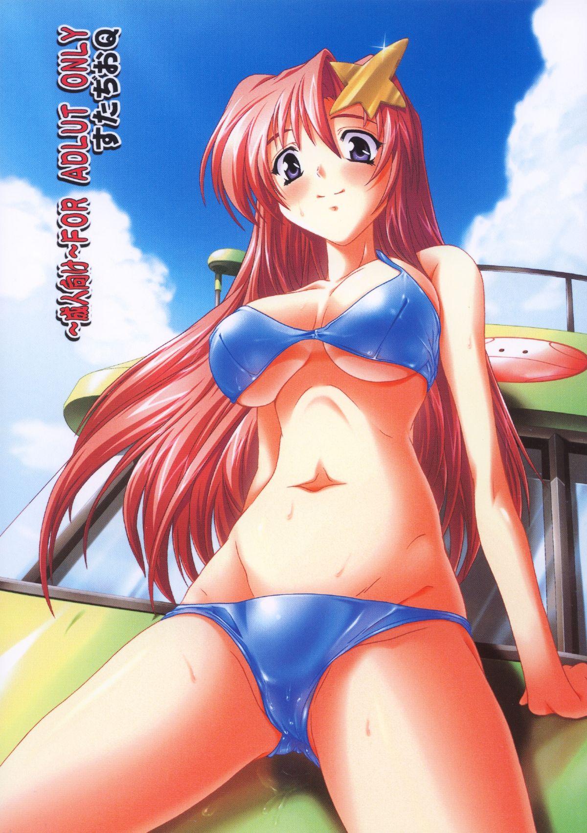 Adult Toys Lacus Destiny ~ Soushuuhen 1 - Gundam seed destiny Money - Page 79