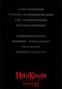 Holy Knight 1 4