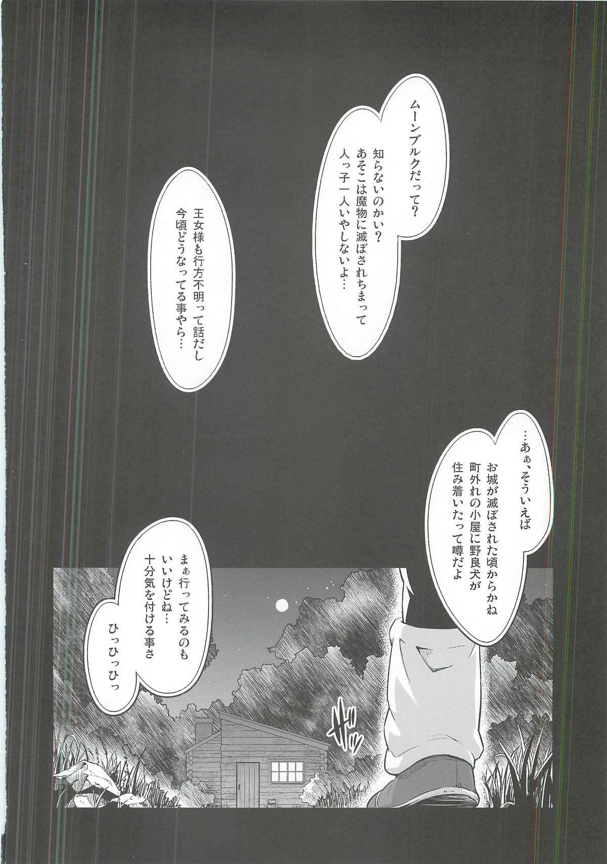 Mask Inu ni Natta Oujo-sama III - Dragon quest ii Punk - Page 3