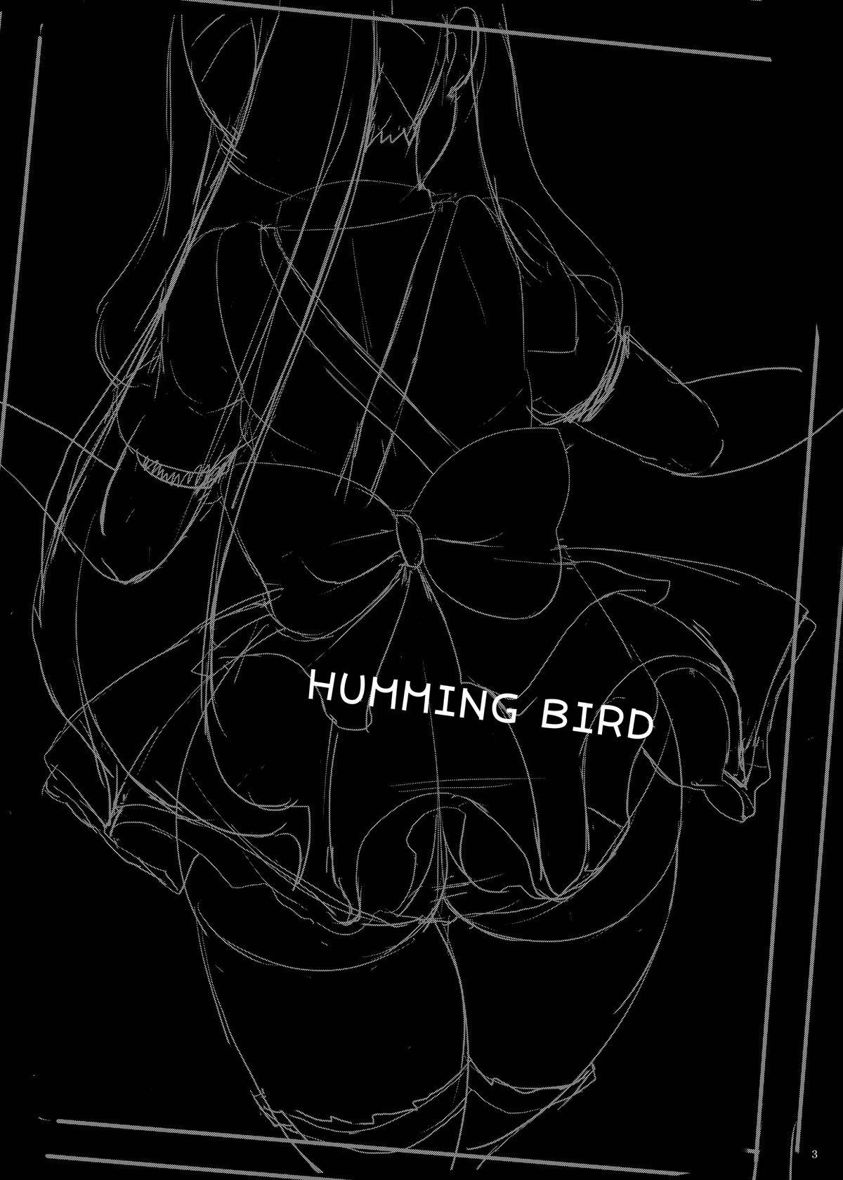 HUMMING BIRD 2