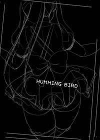HUMMING BIRD 3