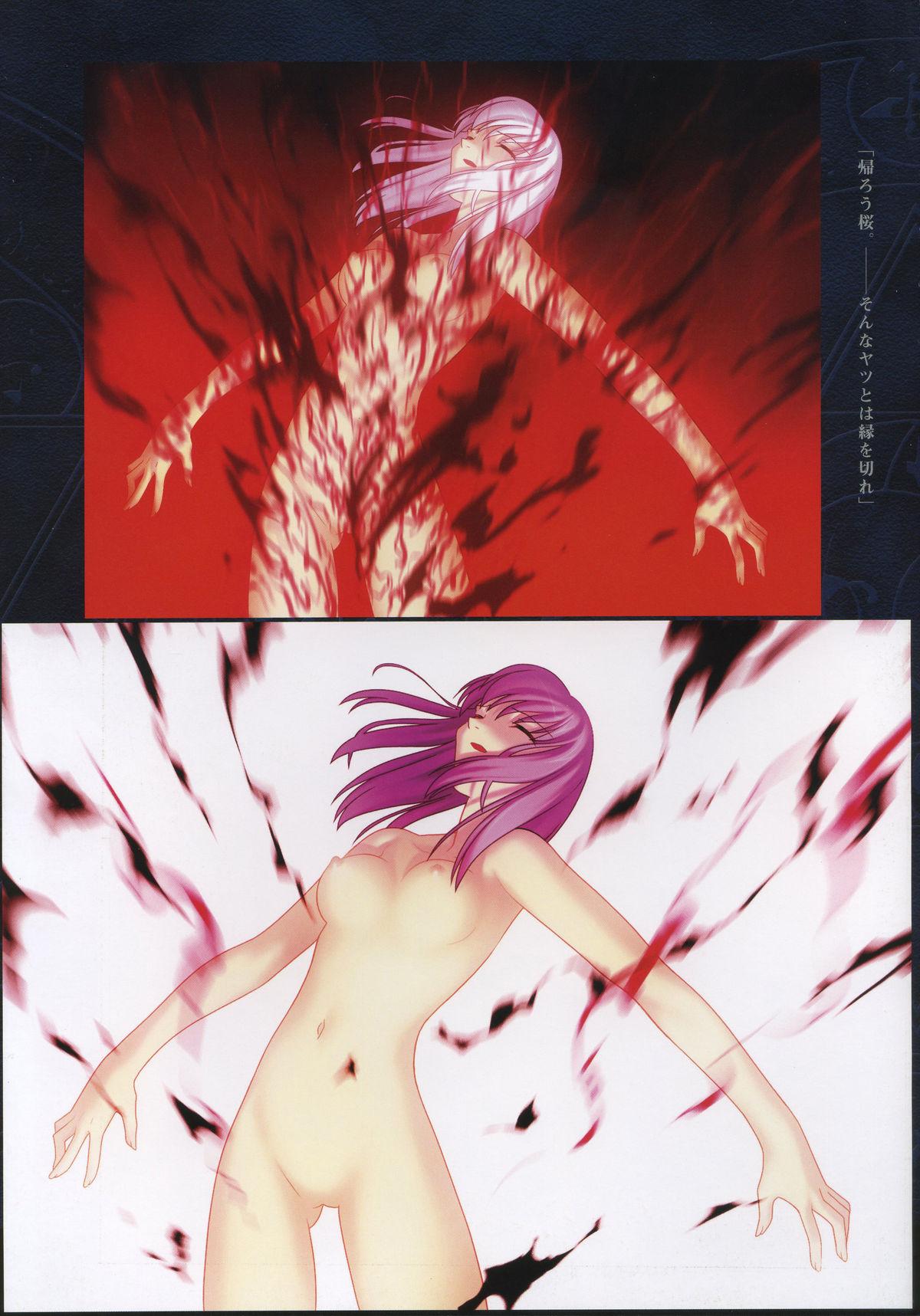 Fate/complete material I - Art material. 108