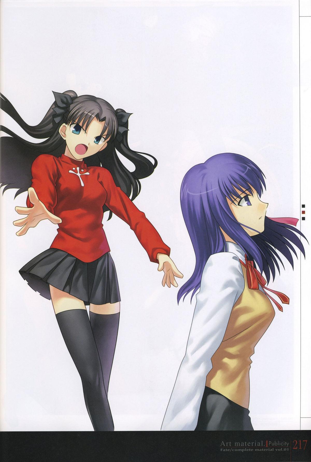 Fate/complete material I - Art material. 221