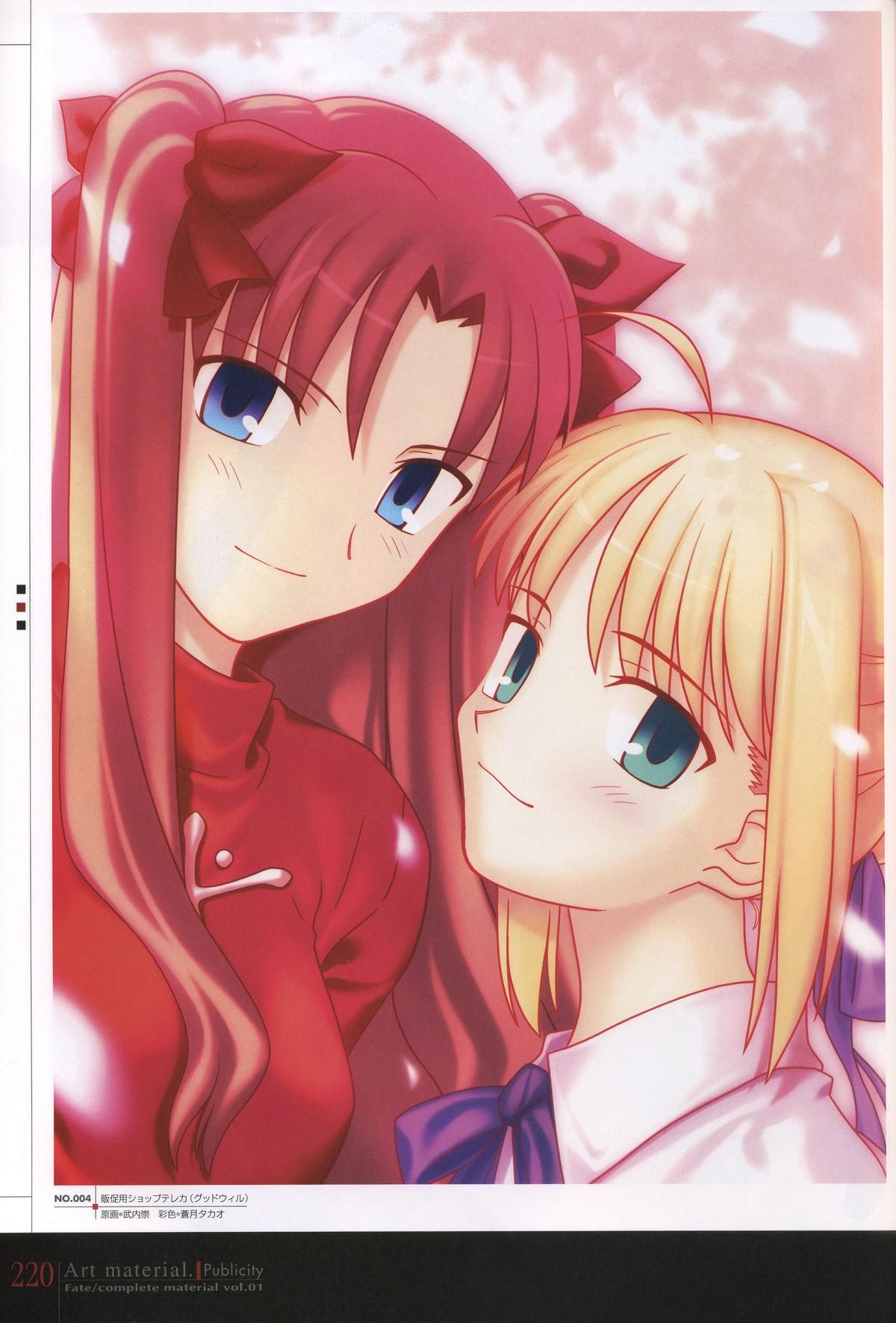 Fate/complete material I - Art material. 224