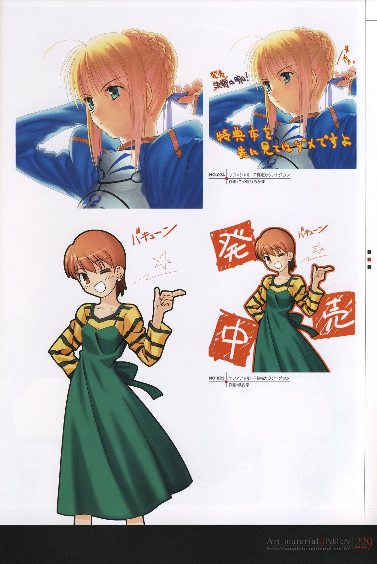 Fate/complete material I - Art material. 233