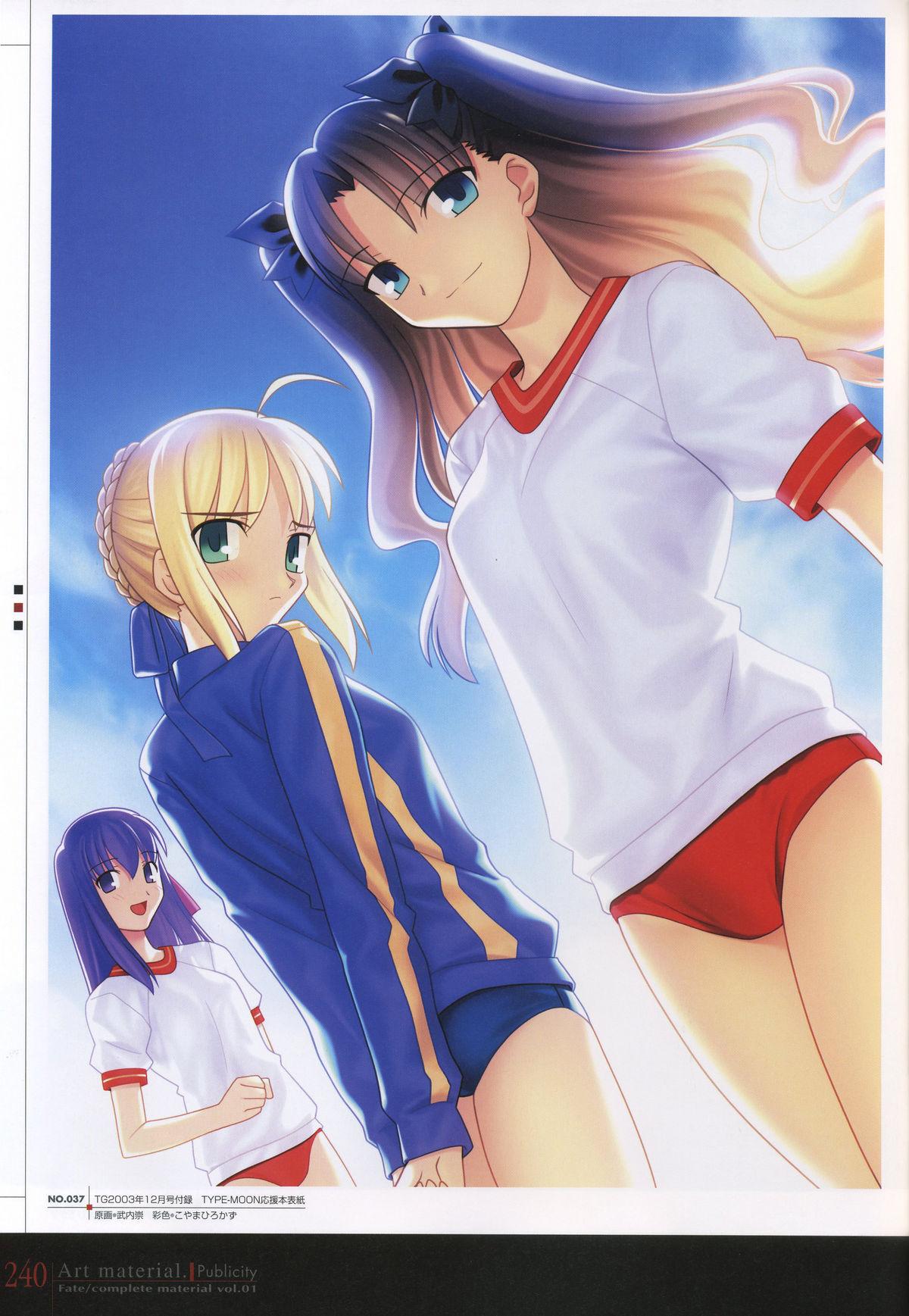 Fate/complete material I - Art material. 244