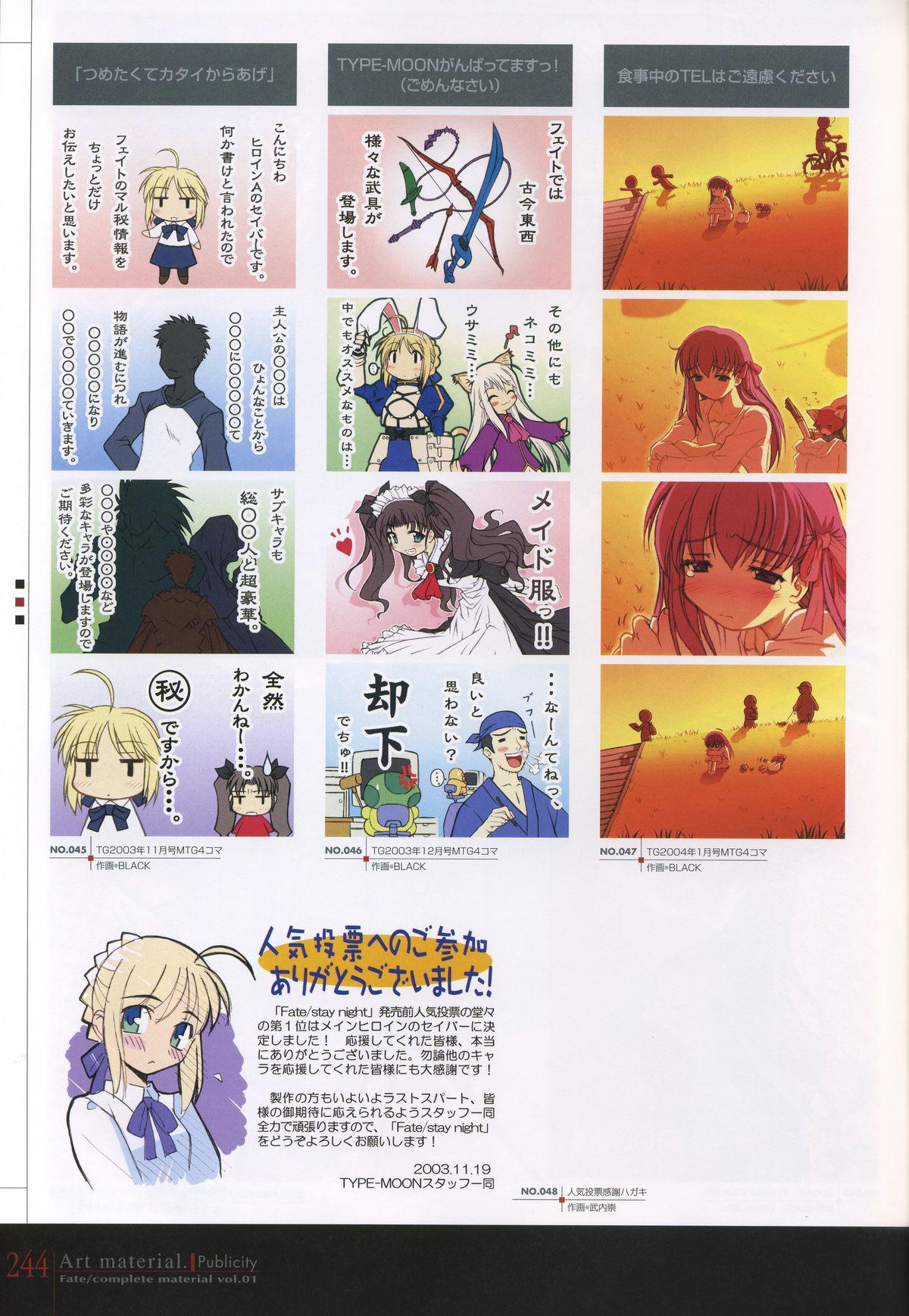 Fate/complete material I - Art material. 248
