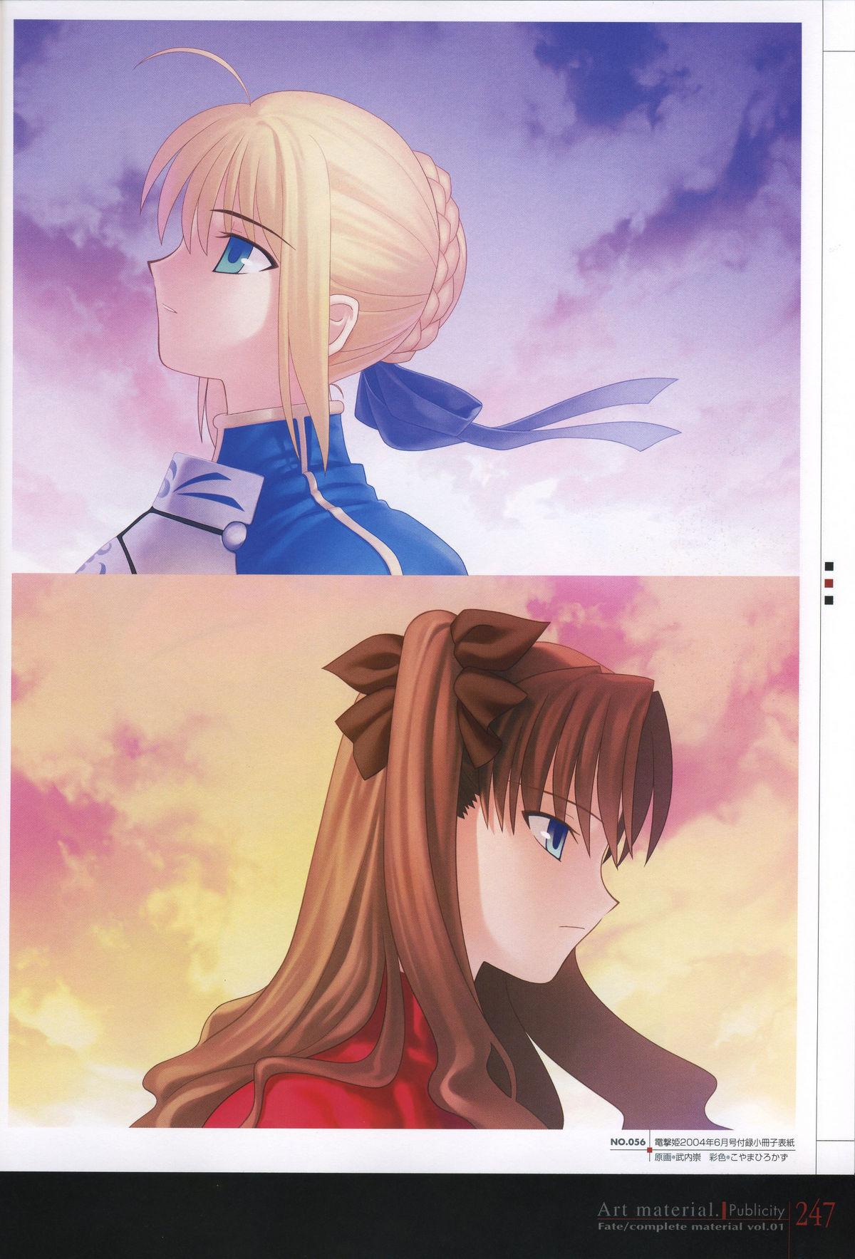 Fate/complete material I - Art material. 251