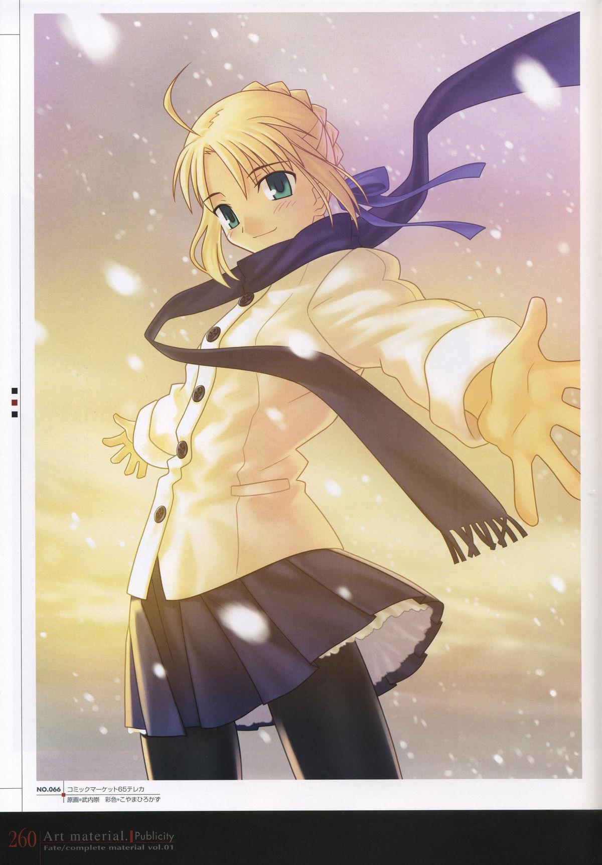 Fate/complete material I - Art material. 264