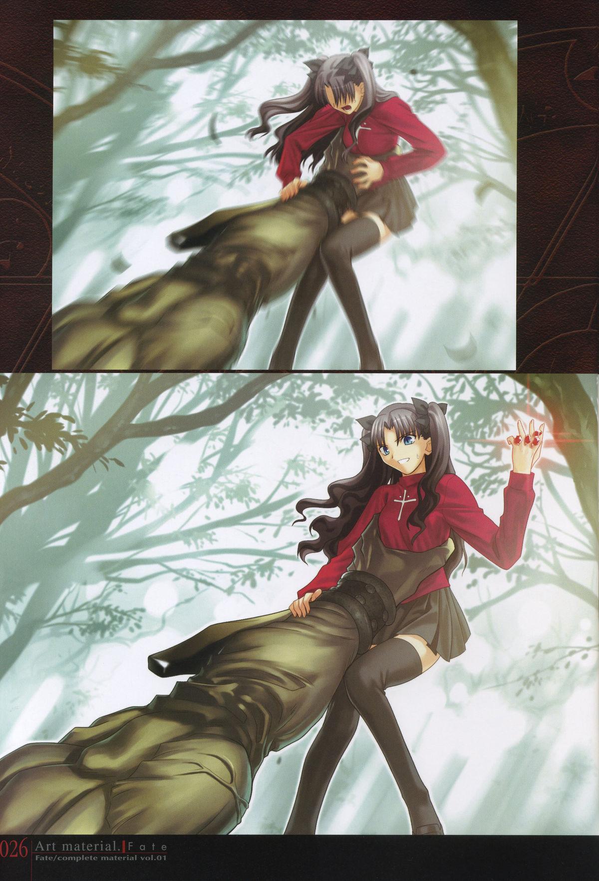 Fate/complete material I - Art material. 30