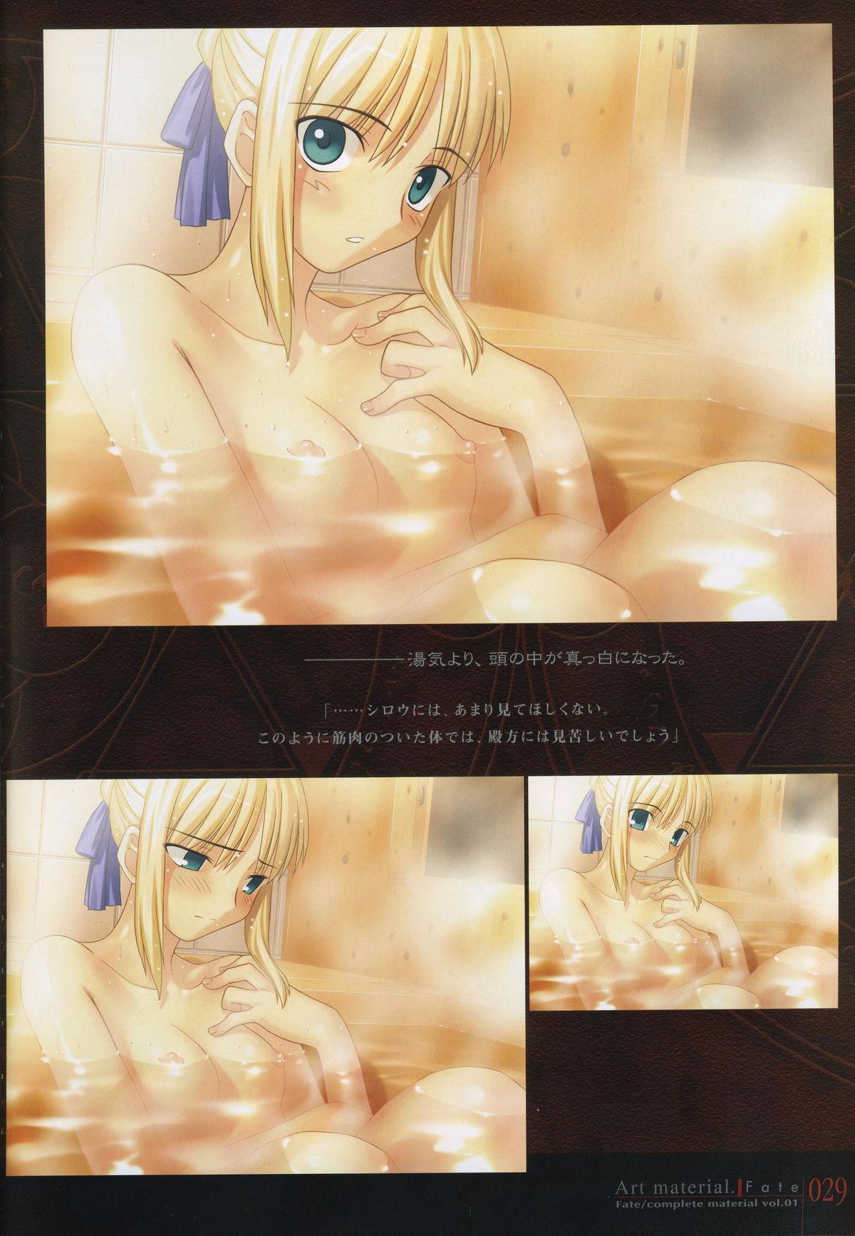 Fate/complete material I - Art material. 33