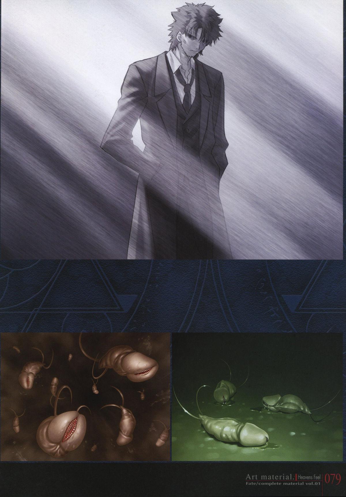 Fate/complete material I - Art material. 83