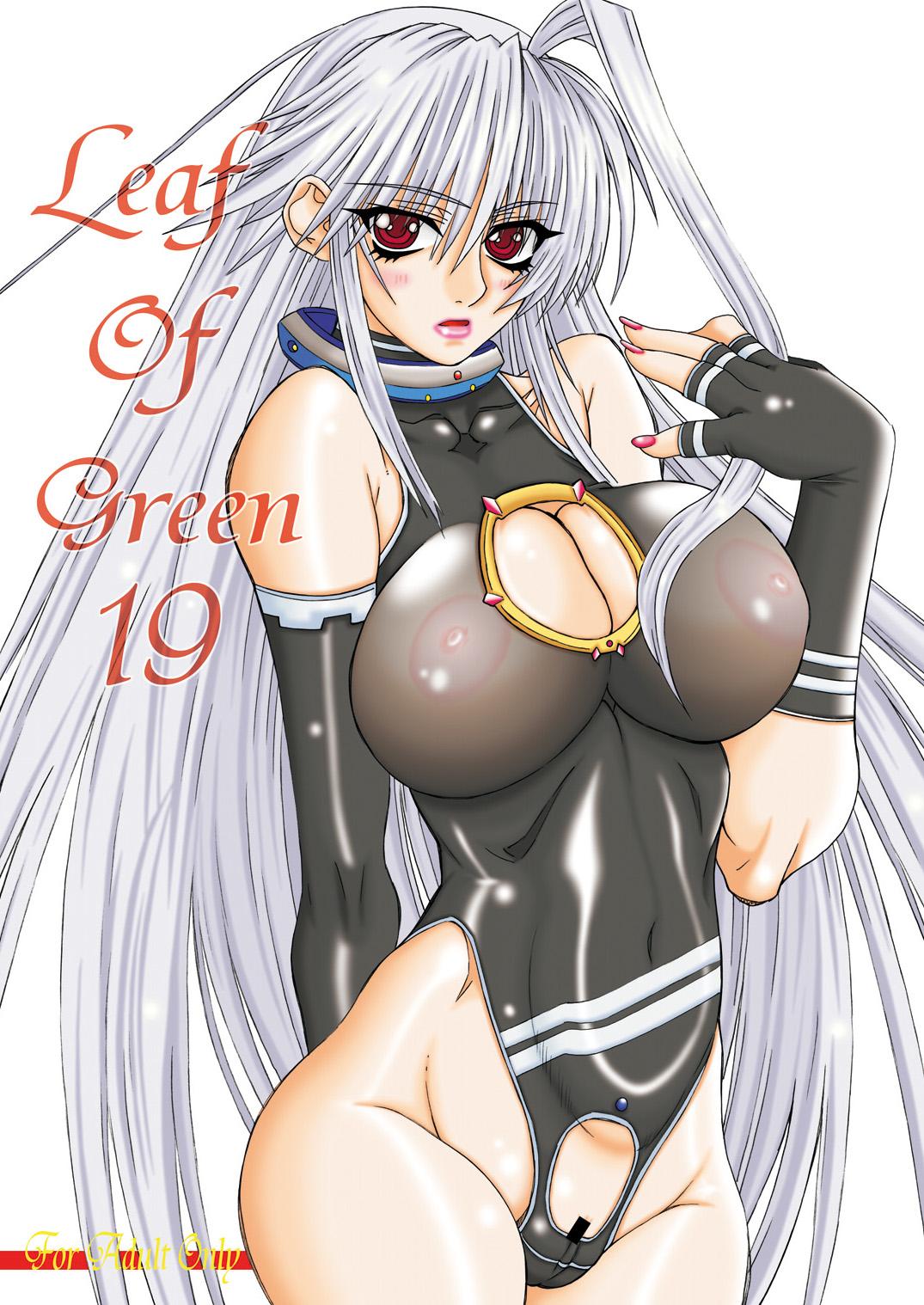 Doggy Style Leaf Of Green 19 - Mahou shoujo lyrical nanoha Pussy - Page 1