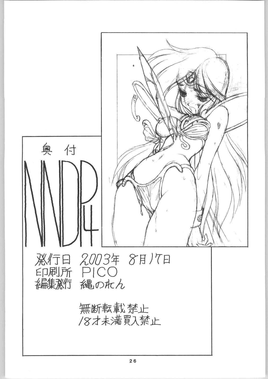 NNDP 4 24