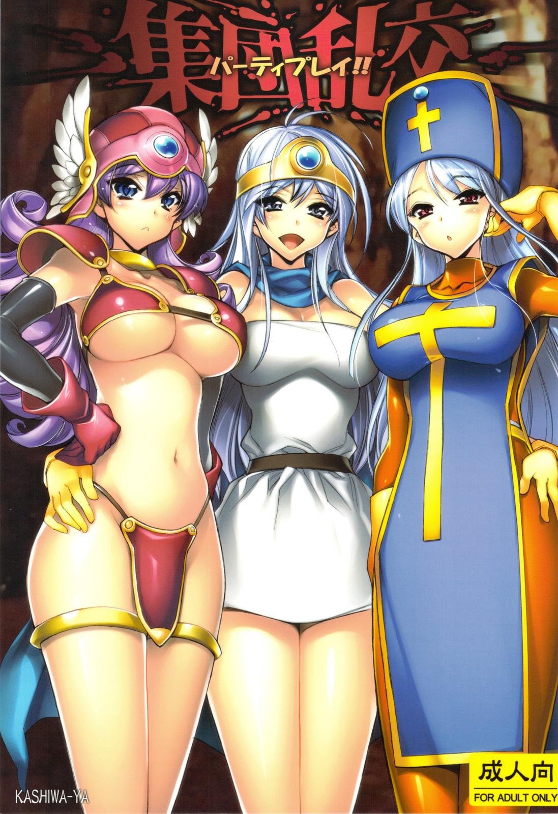 Hetero Shuudan Rankou Party Play - Dragon quest iii Missionary - Picture 1