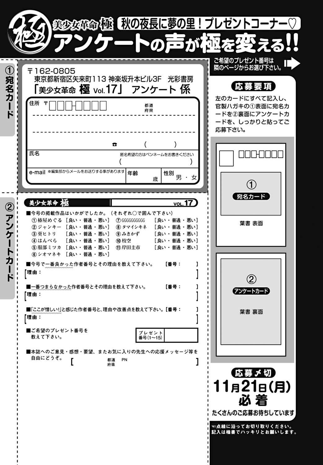 Bishoujo Kakumei KIWAME 2011-12 Vol.17 Digital 206