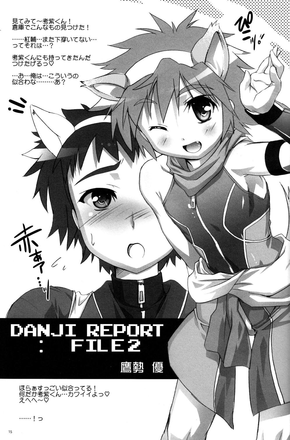 Danji Report: REVIEW 15